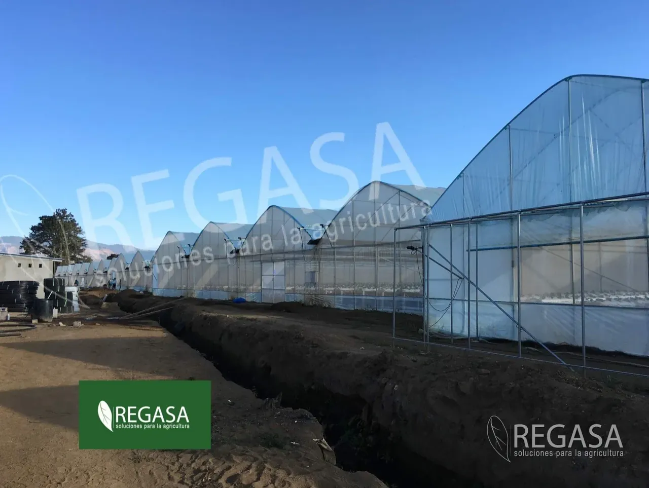 Accesorios e Insumos