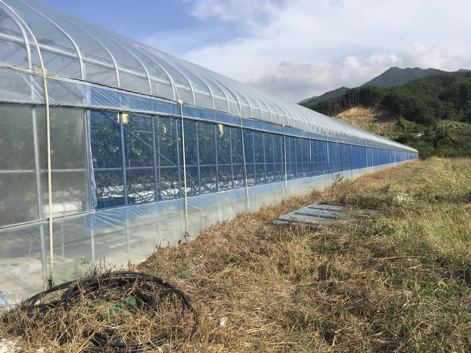 High Tunnels & Hoop Houses
